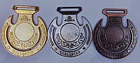 Медаль 2006 ТОРСЫК