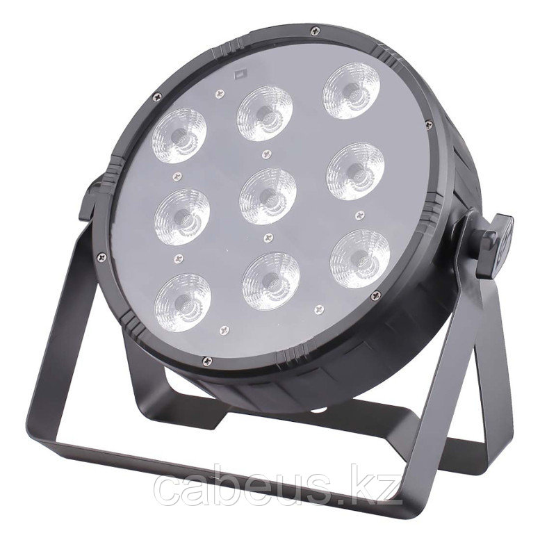 Световое оборудование Estrada PRO LED PAR 98 - фото 1 - id-p113328282