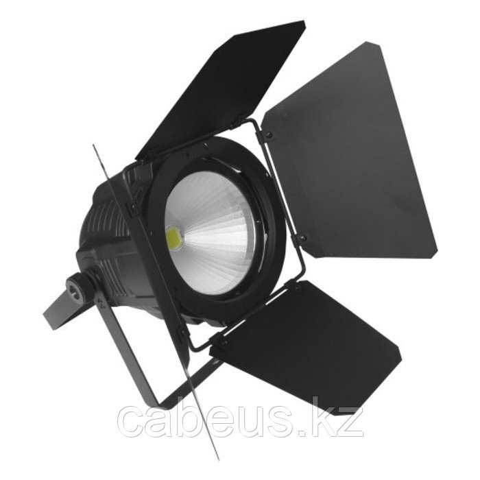 Световое оборудование Flash LED PAR 64 COB 100W RGB - фото 1 - id-p113328283