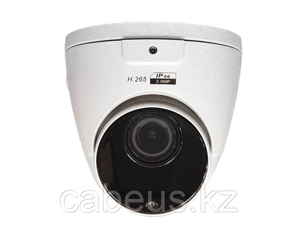 Видеокамера IP купольная CO-RD23P - фото 1 - id-p113336082