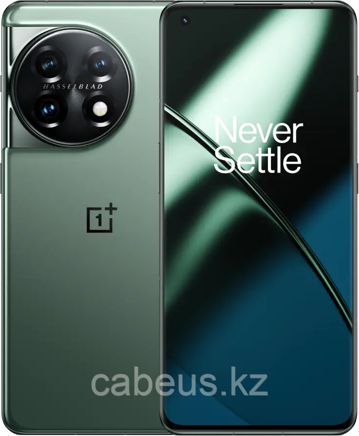 Смартфон OnePlus 11 5G 16/256Gb Eternal Green - фото 1 - id-p113353156