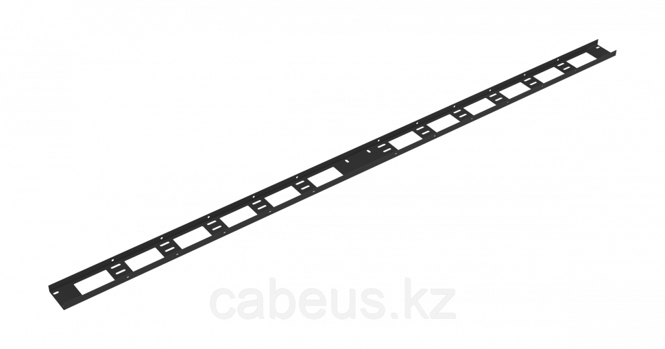 Органайзер кабельный вертикальный, 42U TLK-OV75-2-42U-I-BK - фото 1 - id-p113333511