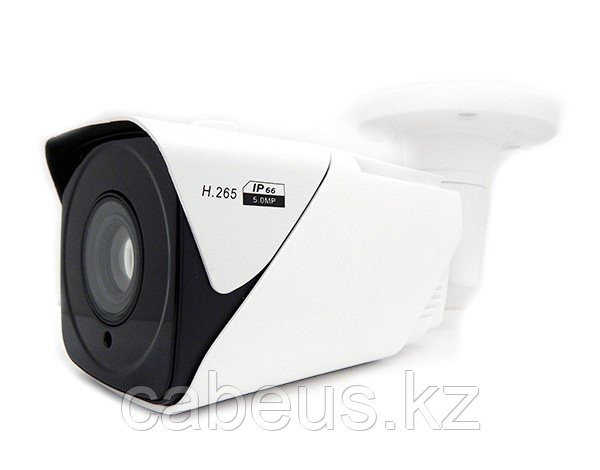 Видеокамера IP цилиндрическая CO-RS24P - фото 1 - id-p113335324