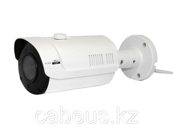 Видеокамера IP цилиндрическая CO-RS53P - фото 1 - id-p113335325