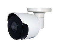 Видеокамера IP цилиндрическая CO-RS51P