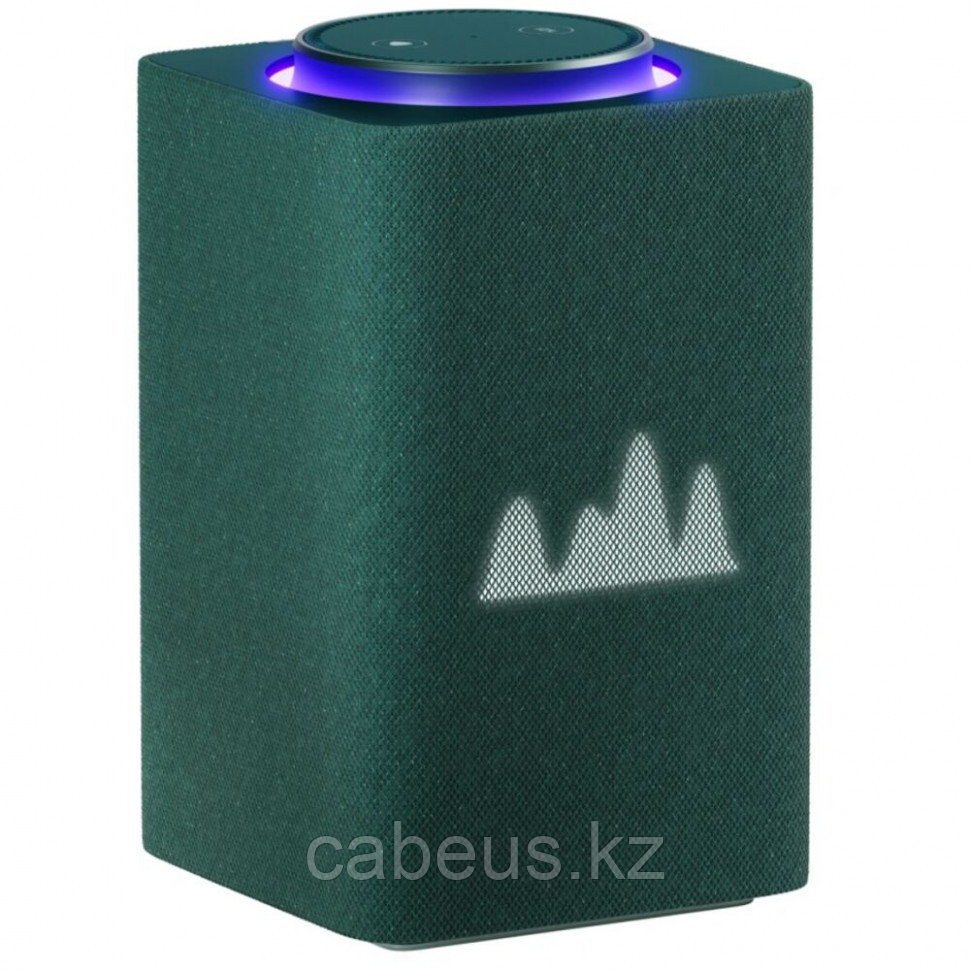 Умная колонка Yandex Станция Макс Zigbee Green (YNDX-00053Z) - фото 1 - id-p113350404