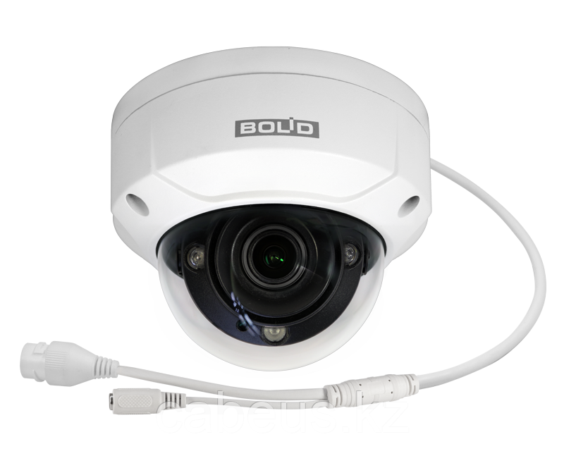 Профессиональная видеокамера IP купольная BOLID VCI-220-01 версия 2 - фото 1 - id-p113335494