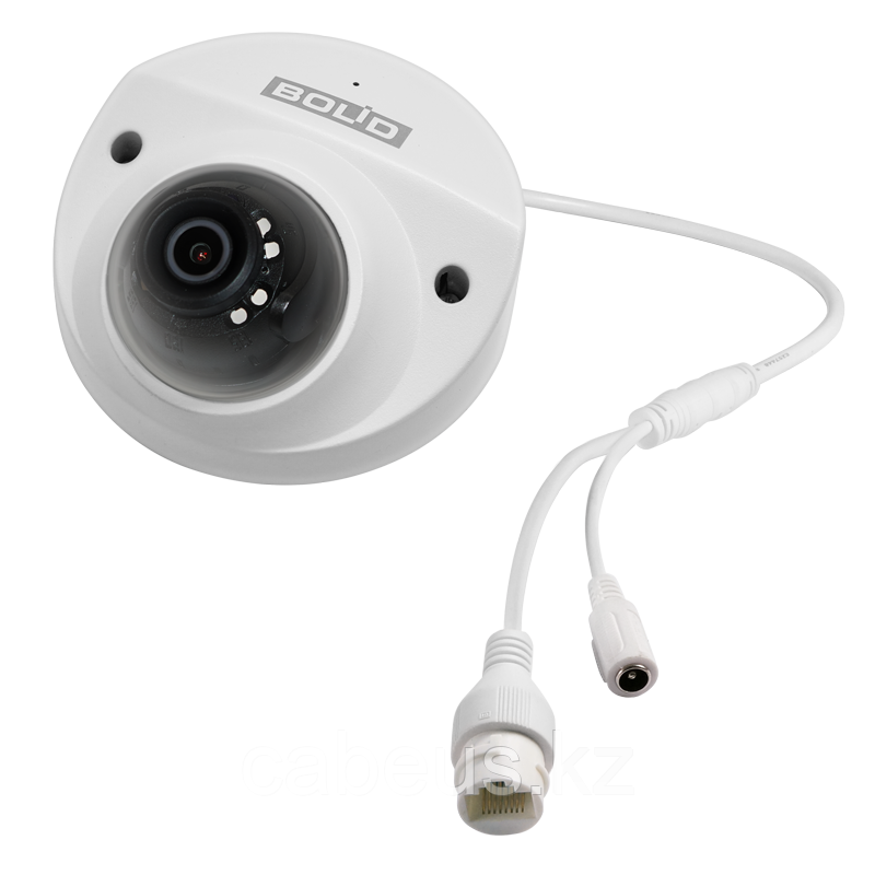 Профессиональная видеокамера IP купольная BOLID VCI-722 версия 3 - фото 1 - id-p113335495