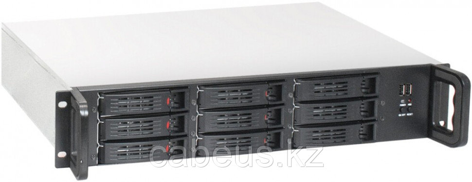 Серверный корпус ExeGate Pro 2U650-HS09/2U-700ADS - фото 1 - id-p113361241