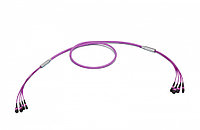 Коммутационный шнур оптический Eurolan, MTP/MTP, OM4 50/125, LSZH (нг(A)-HF), Ø 5,5мм, 1м, цвет: пурпурный,