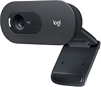 Веб-камера Logitech WebCam C505 HD (960-001364)