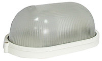 Лампа аварийного освещения SKAT LED-220 E27 IP54 (2454)