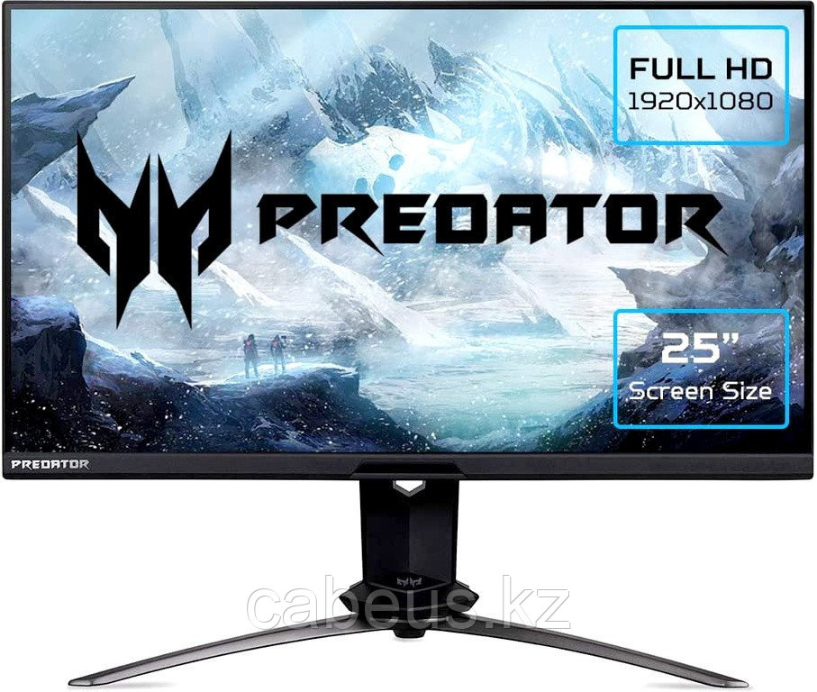 Монитор Acer 25' Predator X25 - фото 1 - id-p113364953