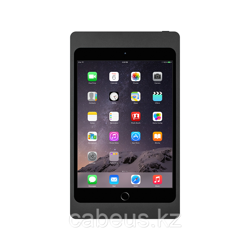 Кейс iPort LuxePort Case iPad Mini4 Black (71009) - фото 1 - id-p113330855