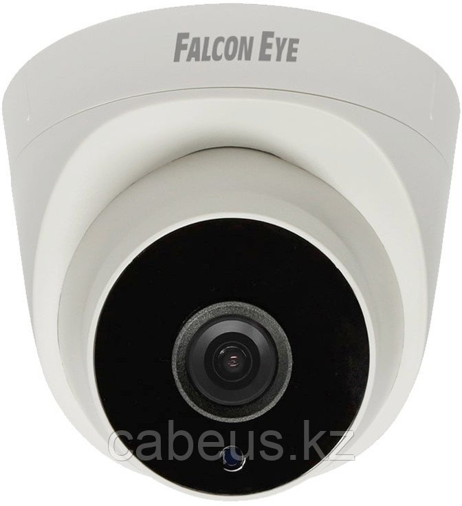 IP камера Falcon Eye FE-IPC-DP2E-30P - фото 1 - id-p113359325