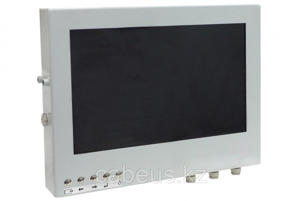 Видеопросмотровое устройство взрывозащищенное Релион-МР-Exm-Н-LCD-21 (HDCVI) исп. 04 - фото 1 - id-p113348587