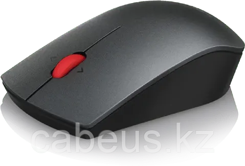 Мышь Lenovo Professional Wireless Laser Mouse (4X30H56887) - фото 1 - id-p113364342