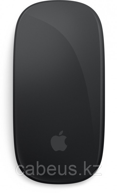 Мышь Apple Magic Mouse (MMMQ3ZA/A) - фото 1 - id-p113364379