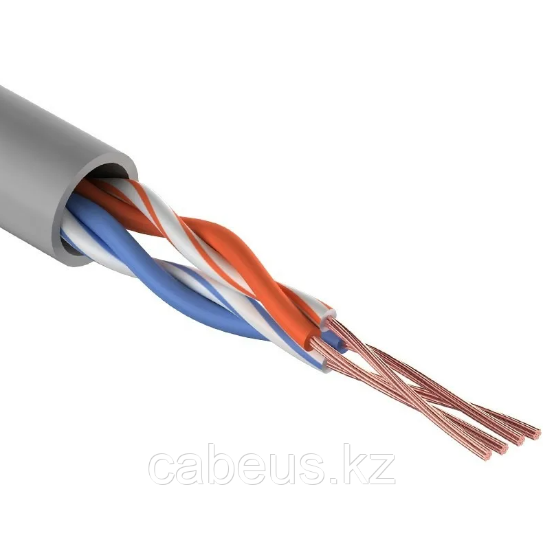 Кабель «витая пара» U/UTP, CAT 5e, PVC, 2PR, 24AWG, INDOOR, STRANDED, серый, 305м REXANT (01-0026) - фото 1 - id-p113345971