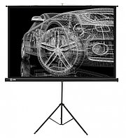 Экран Cactus Triscreen 124.5x221см (CS-PST-124X221)