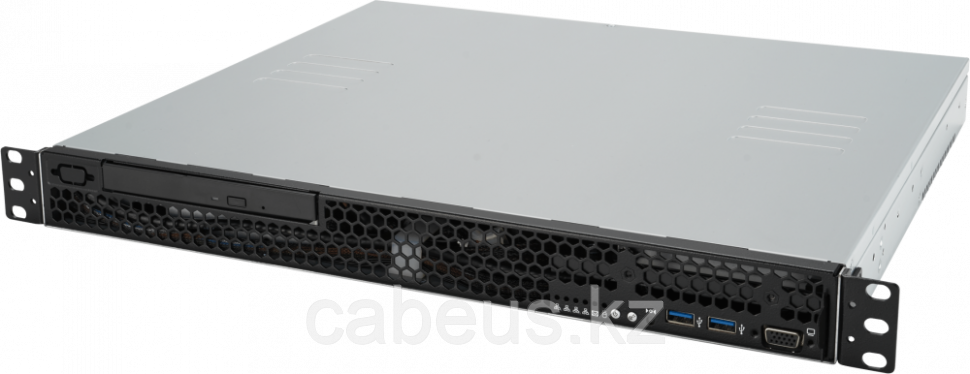Серверная платформа ASUS RS100-E11-PI2 - фото 1 - id-p113360981