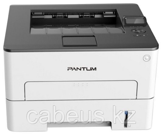 Принтер Pantum P3308DN - фото 1 - id-p113370728