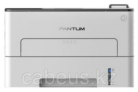 Принтер Pantum P3302DN - фото 1 - id-p113370735