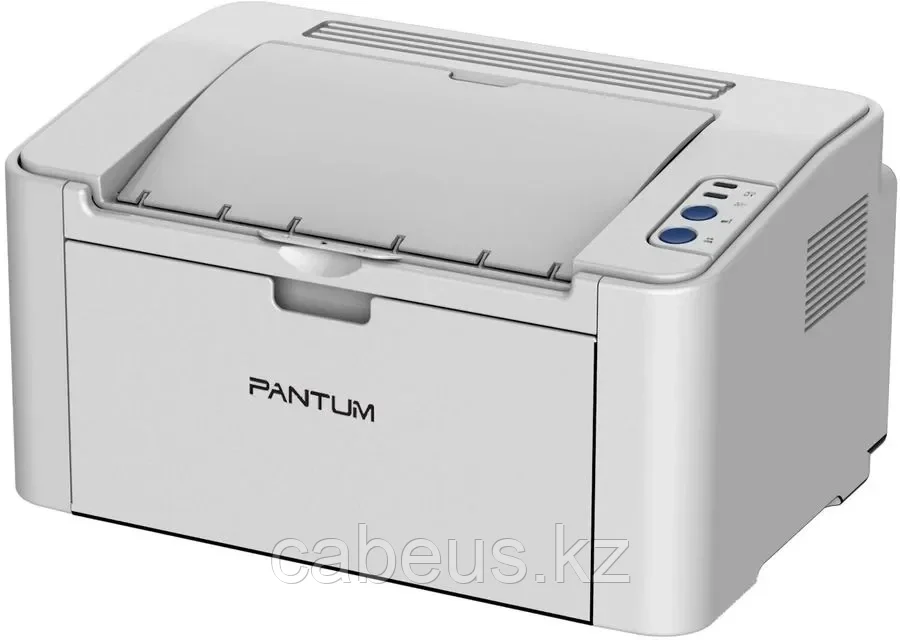 Принтер Pantum P2506W - фото 1 - id-p113370743