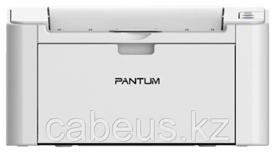 Принтер Pantum P2200 - фото 1 - id-p113370756