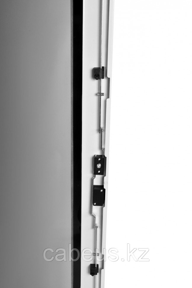 Шкаф телекоммуникационный напольный ЦМО ШТК-М, IP20, 33U, 1625х600х800 мм (ВхШхГ), дверь: стекло, задняя - фото 4 - id-p113391439