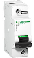 Автоматический выключатель Schneider Electric Acti 9, 3 модуль, C класс, 1P, 100А, 15кА, (A9N18447)