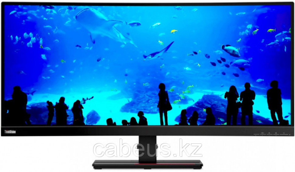 Монитор Lenovo 34' ThinkVision T34w-20 (61F3GAT1EU) - фото 1 - id-p113364631