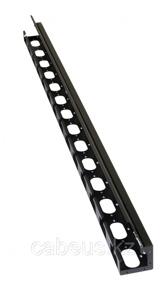 Организатор коммутационных шнуров Datarex, 47HU, 800 мм Ш, вертикальный, для шкафов, цвет: чёрный, (2 шт в - фото 1 - id-p113388475