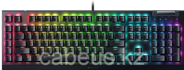 Клавиатура Razer BlackWidow V4 X (Green Switch) - фото 1 - id-p113365674