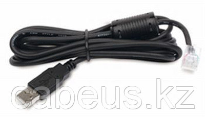 Силовой шнур APC, RJ45, вилка USB-A(USB 2.0), 1.8 м, цвет: чёрный - фото 1 - id-p113383530
