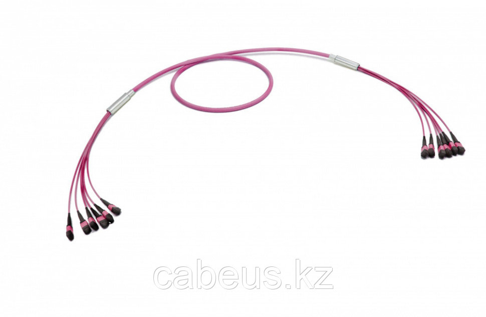 Коммутационный шнур оптический Eurolan, MTP/MTP, OM4 50/125, LSZH (нг(A)-HF), Ø 6,3мм, 100м, цвет: пурпурный, - фото 1 - id-p113388629