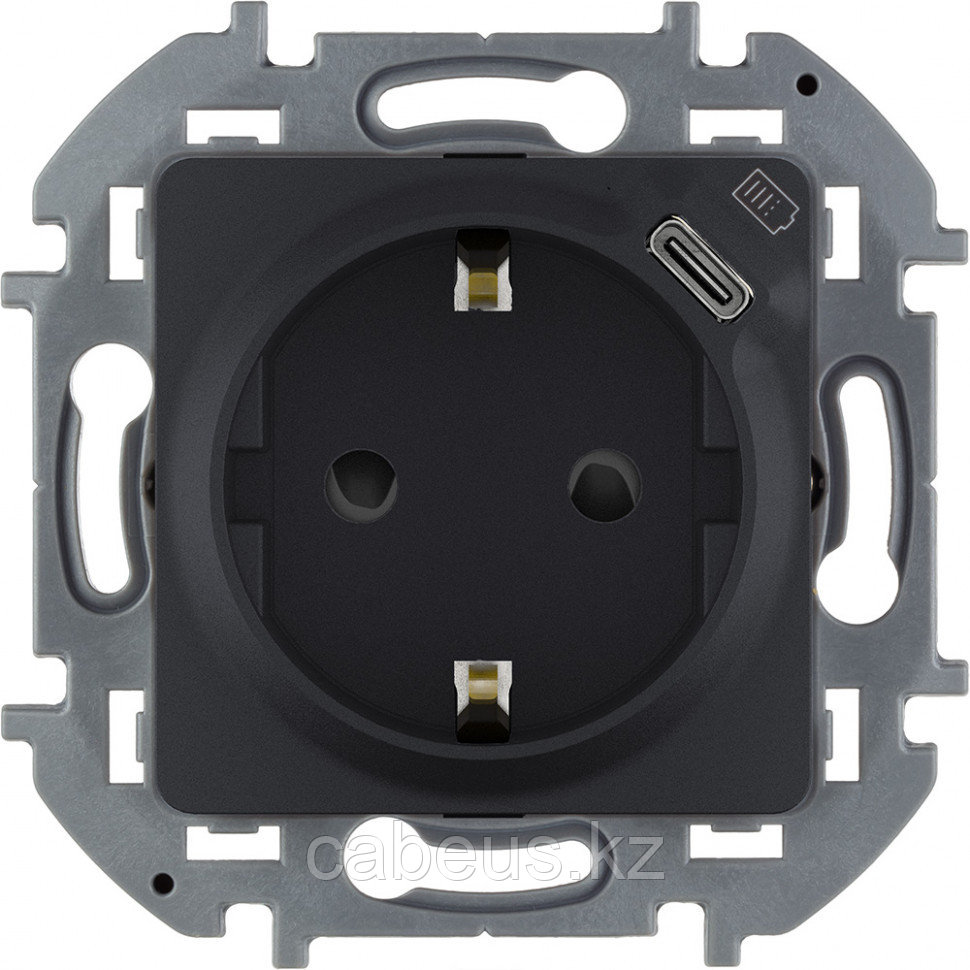 Розетка электрическая Legrand INSPIRIA, 2к+З+USB, 16АX, 75,8х75,8 мм (ВхШ), шторки защитные, цвет: антрацит - фото 4 - id-p113383729