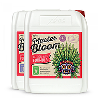 Удобрения Master Bloom A&B 10 L (Xpert Nutrients)