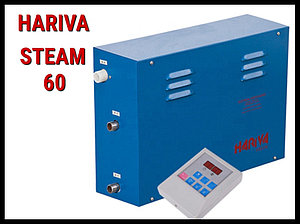 Парогенератор Hariva Steam60 c пультом управления для Паровой (Мощность 6 кВт, объем 2-7 м3)