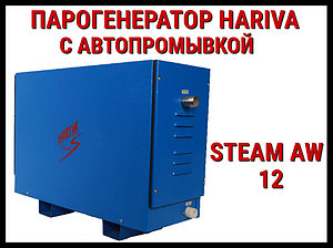 Парогенератор Hariva Steam AX 12 c автопромывкой для Паровой (Мощность 12 кВт, объем 6-13 м3)