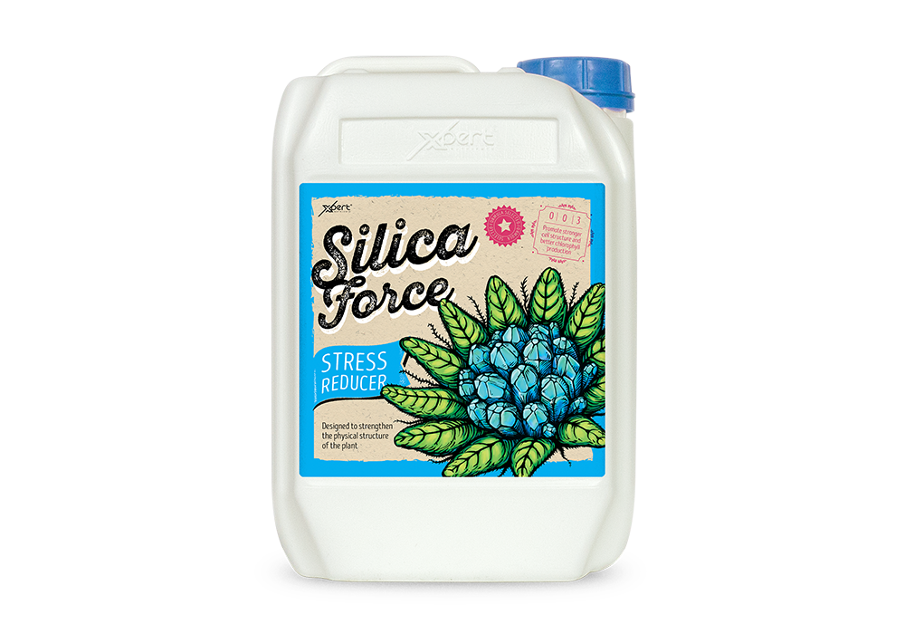 Стимулятор Silica Force 5 L (Xpert Nutrients) Укрепляет клетки