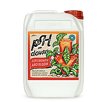 Ph Down 5 L (Xpert Nutrients)