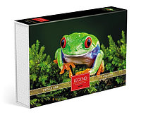 Пазлы Hatber Premium, 500 элементов, А2, постер внутри, серия Legend: Macro - Царевна-лягушка, в подарочной