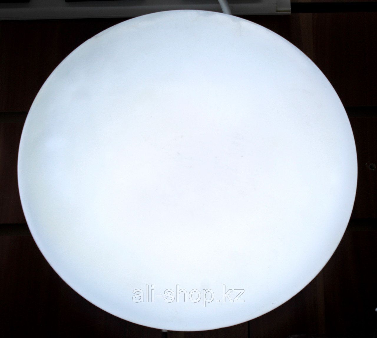 Светильник LED c плафоном, белый, D 27 см - фото 1 - id-p113458218