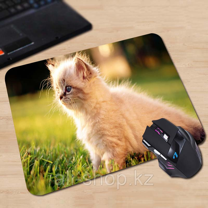 Коврик для мышки "Pad for Mouse с изображением "Пушистый котенок в цветах",Dimensions:300mm x 250mm x 3mm" - фото 1 - id-p113459906
