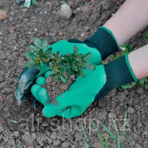 Садовые перчатки с когтями Garden Genie Gloves - фото 2 - id-p113461808