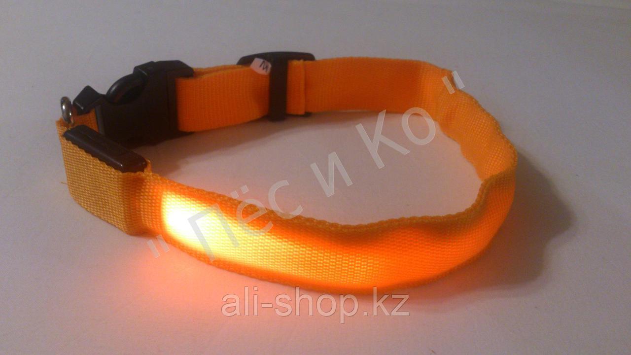 Светящийся ошейник со светоотражателем - 45-50 см, оранжевый - фото 9 - id-p113462339