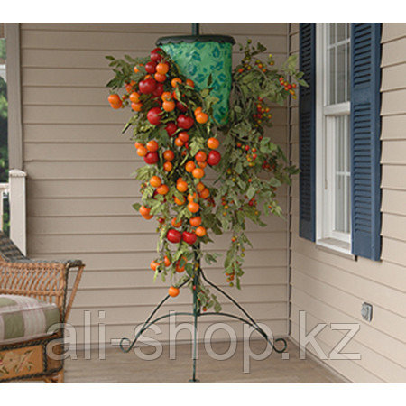Установка для выращивания помидор Топси Торви - фото 1 - id-p113462425