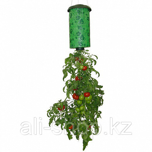 Установка для выращивания помидор Топси Торви - фото 4 - id-p113462425