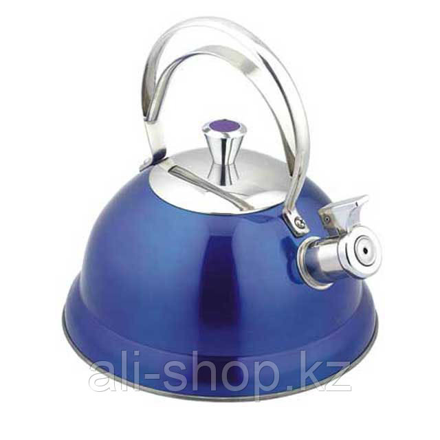 Чайник металлический кухонный BEKKER DeLuxe 440-ВК - фото 1 - id-p113463765